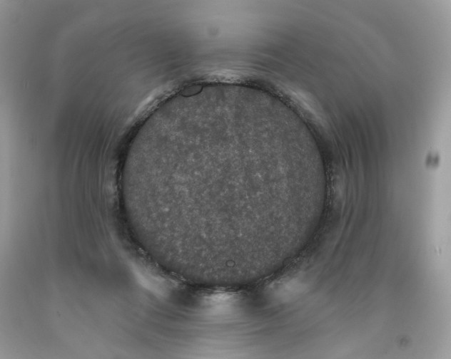X0000091460312200709061802