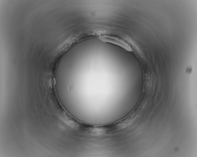 X0000091460313200709061802