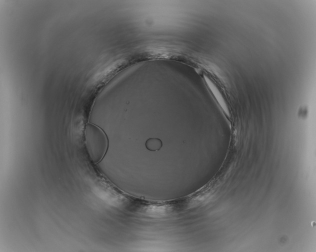 X0000091460314200709061802