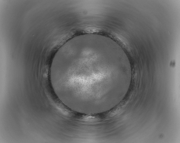 X0000091460315200709061802