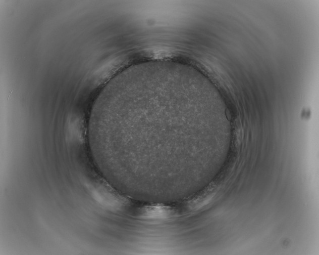 X0000091460316200709061802