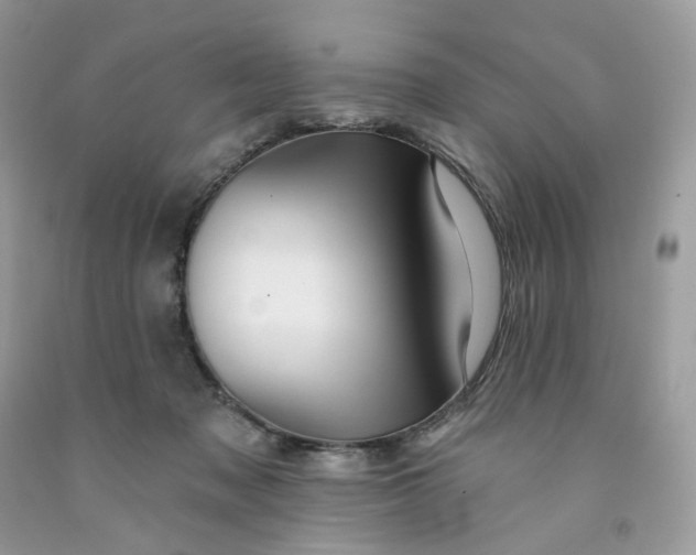 X0000091460317200709061802