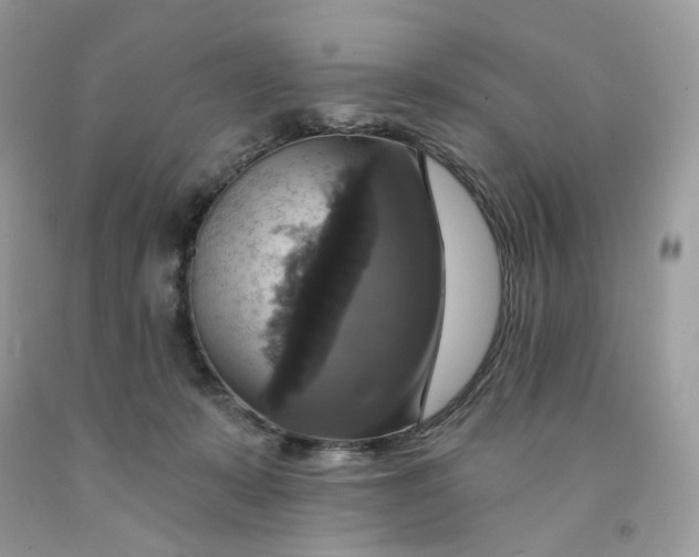 X0000091460319200709061802