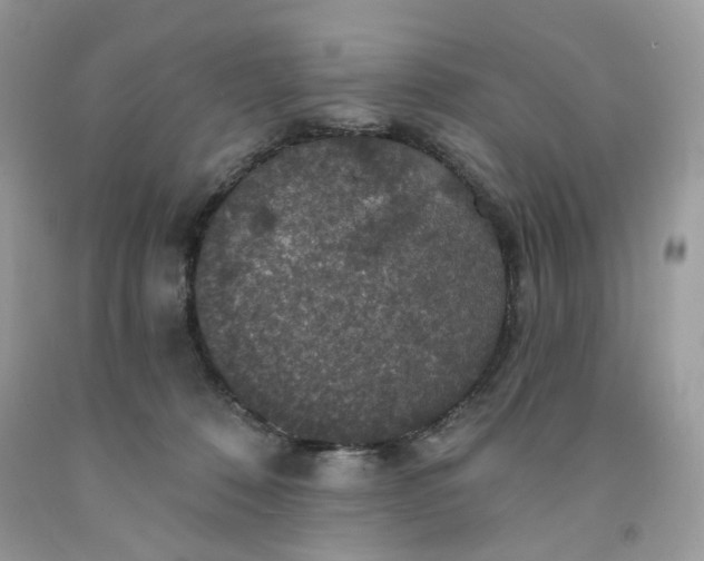 X0000091460320200709061802