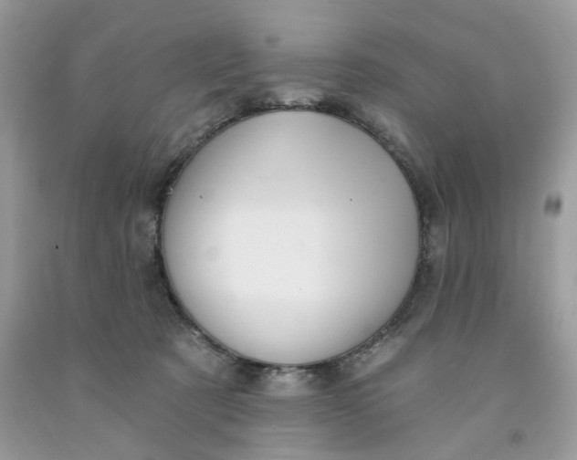 X0000091460321200709061802