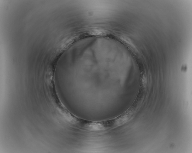 X0000091460322200709061802