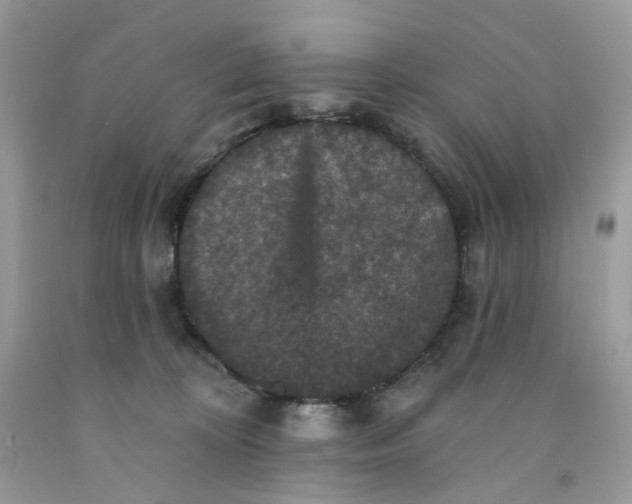 X0000091460324200709061802