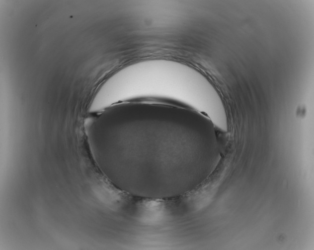 X0000091460325200709061802