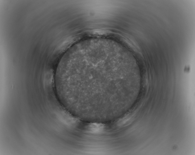 X0000091460328200709061802