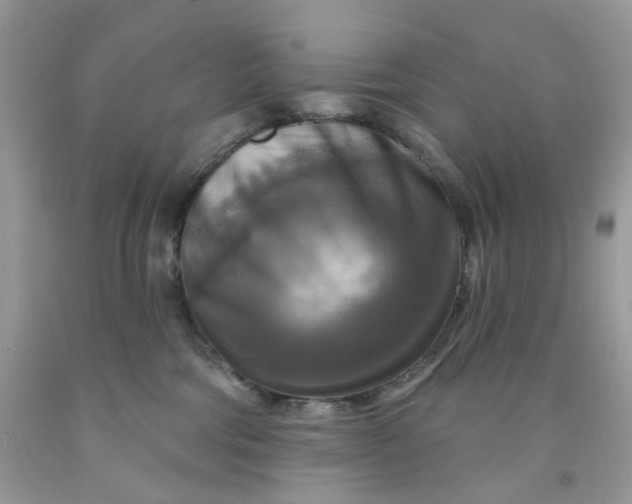 X0000091460330200709061802