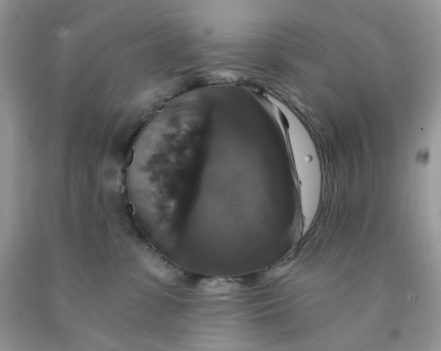X0000091460331200709061802