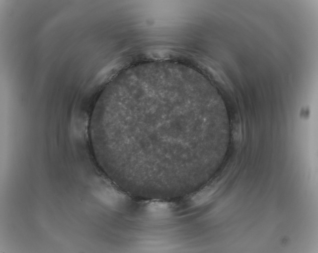 X0000091460332200709061802