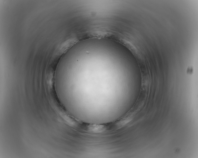 X0000091460334200709061802