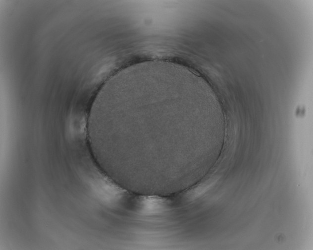 X0000091460336200709061802
