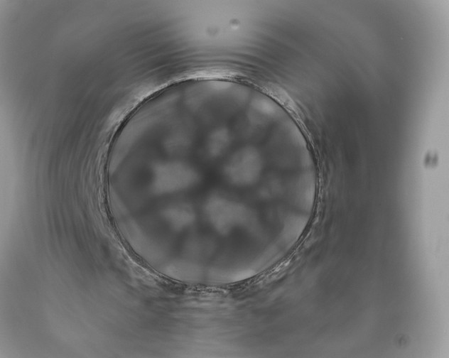 X0000091460337200709061801