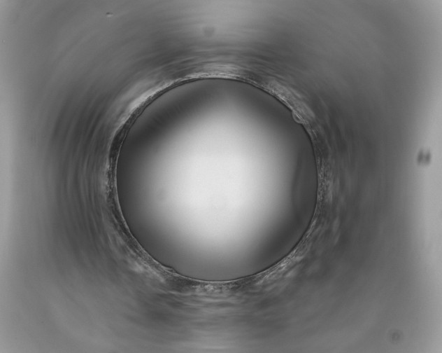 X0000091460338200709061801