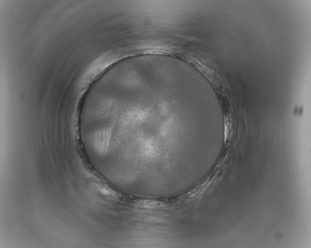X0000091460339200709061801