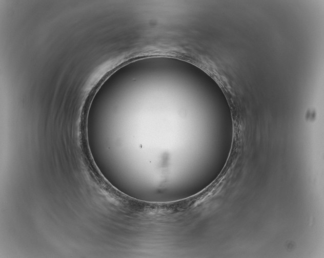 X0000091460340200709061801
