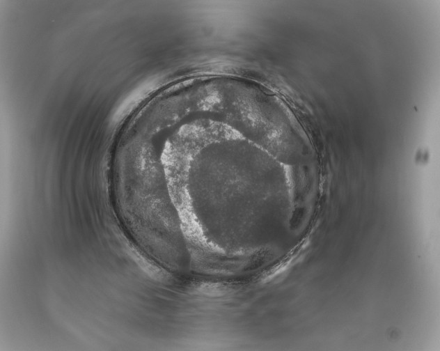 X0000091460341200709061801