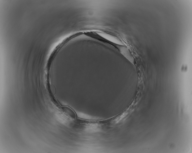 X0000091460342200709061801
