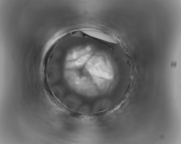 X0000091460343200709061801