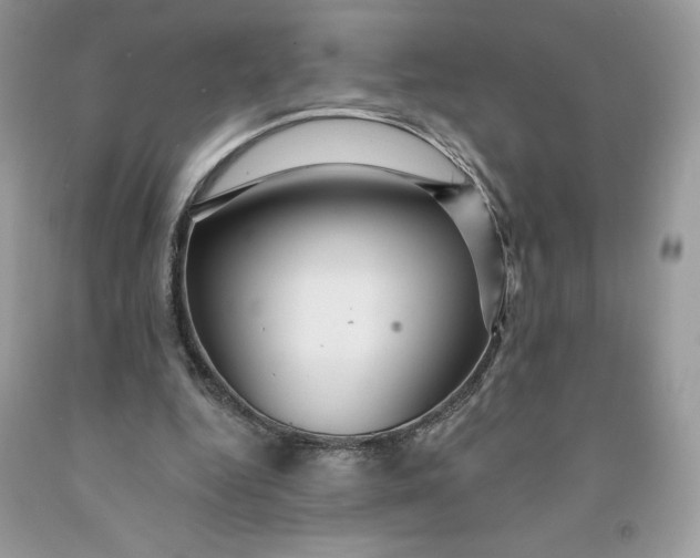 X0000091460344200709061801