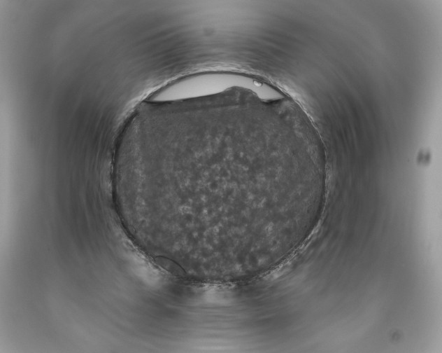 X0000091460345200709061801