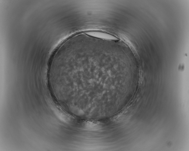 X0000091460346200709061801