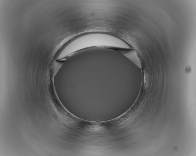 X0000091460348200709061801