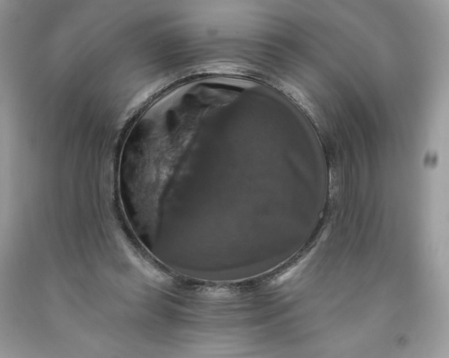 X0000091460349200709061801