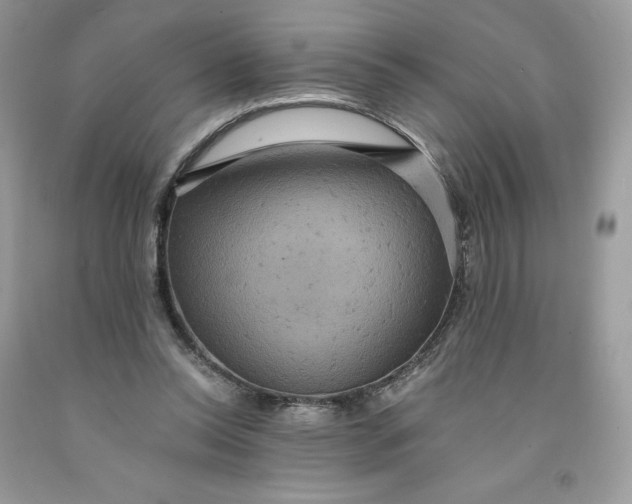 X0000091460350200709061801
