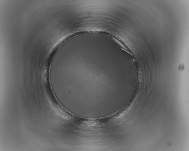 X0000091460351200709061801