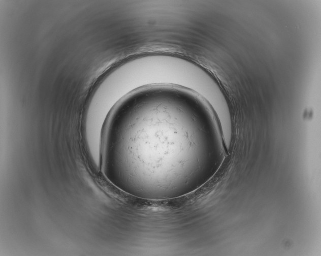 X0000091460352200709061801