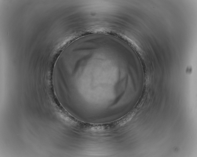 X0000091460353200709061801