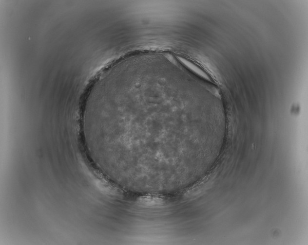 X0000091460354200709061801