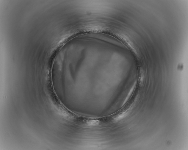 X0000091460355200709061801