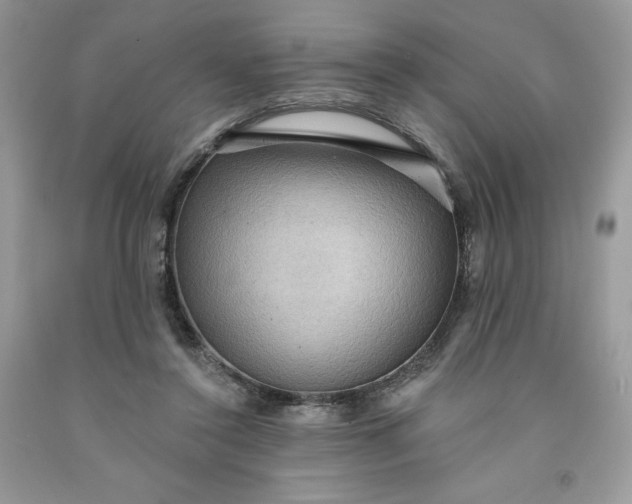 X0000091460356200709061801