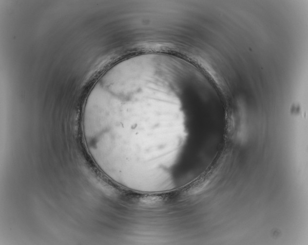 X0000091460357200709061801