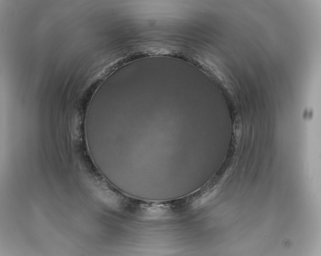 X0000091460359200709061801