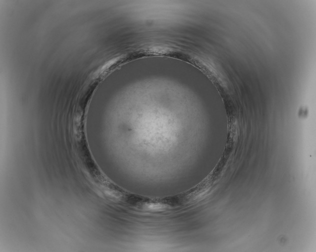 X0000091460360200709061801
