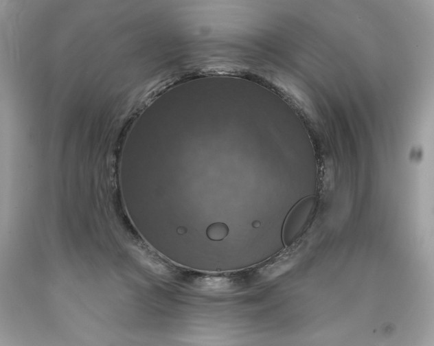 X0000091460361200709061801