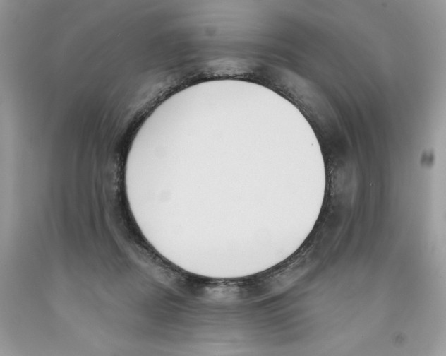 X0000091460362200709061801