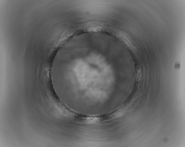 X0000091460363200709061801