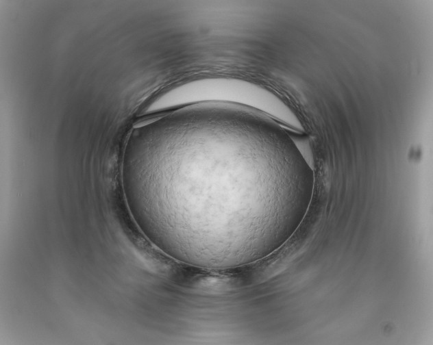 X0000091460364200709061801