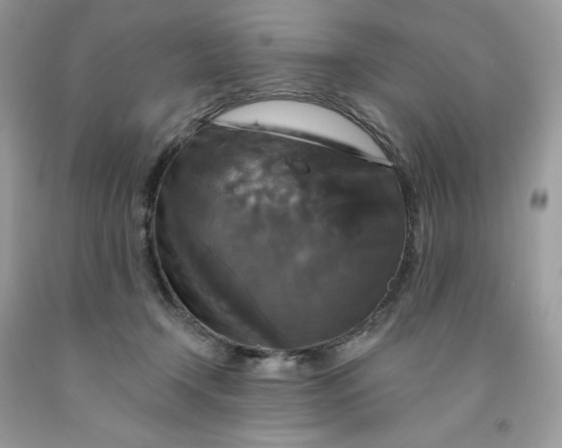 X0000091460366200709061801