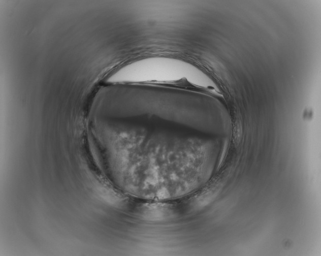 X0000091460367200709061801