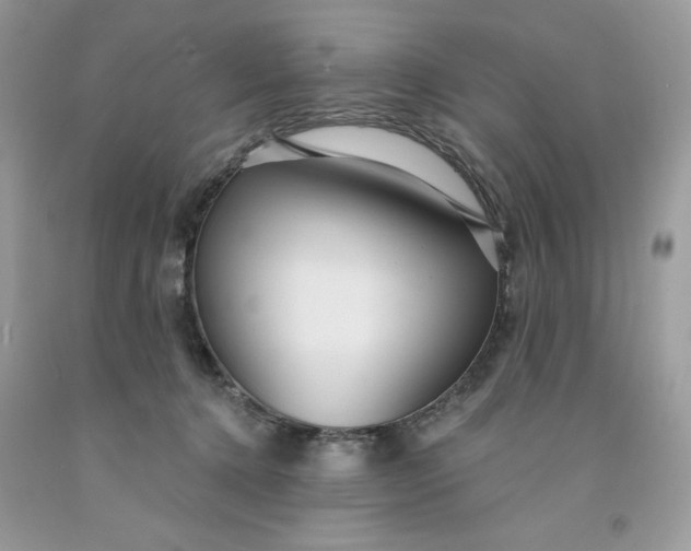 X0000091460368200709061801