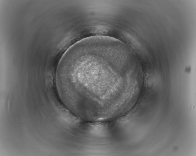 X0000091460370200709061801