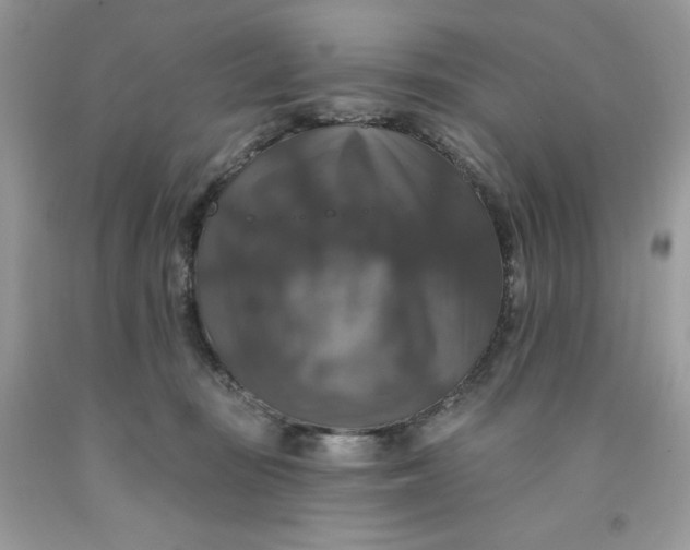 X0000091460371200709061801