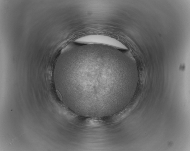 X0000091460372200709061801